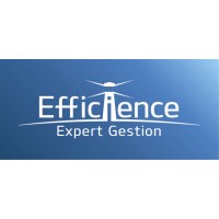 EFFICIENCE EXPERT GESTION Logo