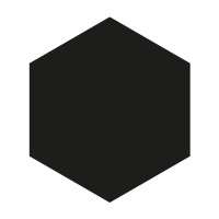 Wild Wild Web Logo