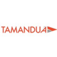 Agência Tamanduá Logo