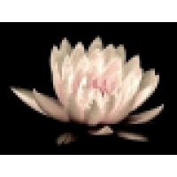 Lis Reflexology Logo