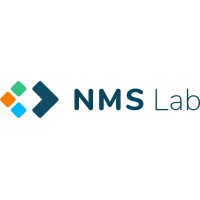 NEOMETSYS Logo