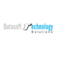 Datasoft Technology Solutions - Digital Marketing Agency with SEO and PPC Expertise Logo