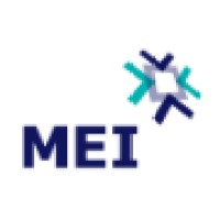 MEI (Mercado Electrónico Institucional) Logo