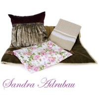 Sandra Adrubau Home Logo