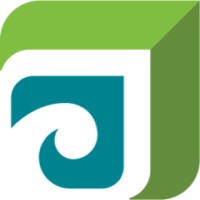 Financial Insights Wealth Management Logo
