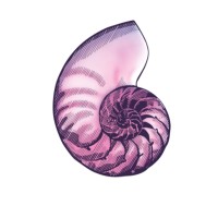 Pioneer Sociedad Administradora de Fondos, S.A. Logo