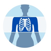 The X-Ray Academy Of Texas Logo