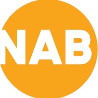 NAB Bliksembeveiliging BV Logo