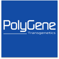 PolyGene AG Logo