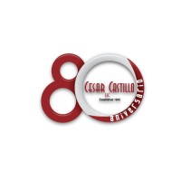 Cesar Castillo LLC Logo
