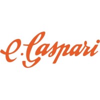 Gruppo Gaspari Logo