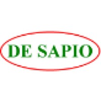 DeSapio Construction Inc. Logo