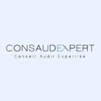 ConsAudExpert Logo
