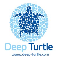 DEEP TURTLE Logo