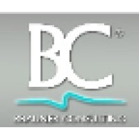 Brauner Consulting Logo