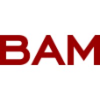 Boise Art Museum Logo