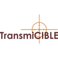 TRANSMICIBLE Logo