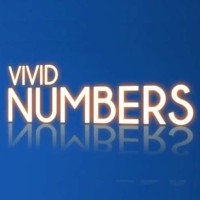 Vivid Numbers, PLLC Logo