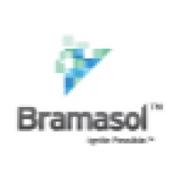 Bramasol, India Pvt Ltd Logo