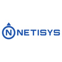 NETISYS.com Logo