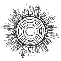 Karrkad Kanjdji Trust Logo