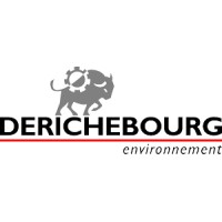 DERICHEBOURG Environnement Logo