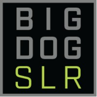 Big Dog Solar Energy Logo