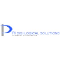 PI digi-logical Solutions Logo