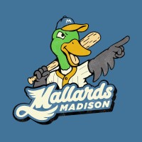 Madison Mallards Baseball Club Logo
