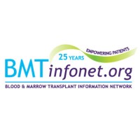 BMT InfoNet Logo