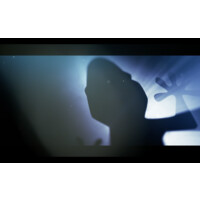 Little Darwin Films Logo