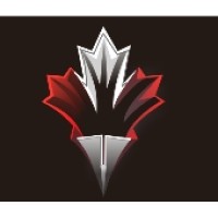 PMI International Logo