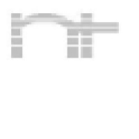 NaszTech Systems Inc. Logo