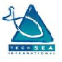 Techsea International, Inc. Logo