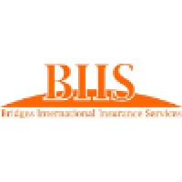 Bridges International Insurance Services Logo