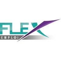 FLEX EMPLOI Logo