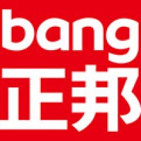 ZhengBang Brand Identity & Consultant Logo