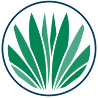 Palmetto Solutions Logo