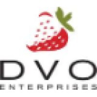 DVO Enterprises Logo