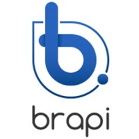 BRAPI Logo