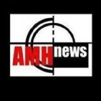 The AMH News Syndicate Logo