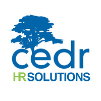 CEDR Solutions Logo