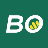 AUTOCARS BORINI Logo