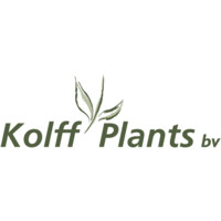 Kolff Plants B.V. Logo