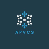 Ace Professionals Virtual Consulting Services Logo