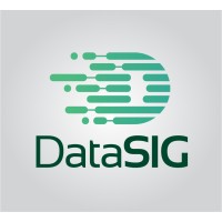 DataSIG Logo