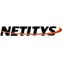 Netitys Logo
