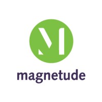 Magnetude Consulting Logo