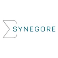 SYNEGORE Logo