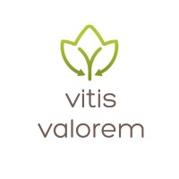VITIS VALOREM Logo